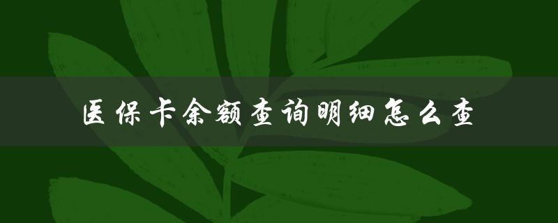 医保卡余额查询明细怎么查