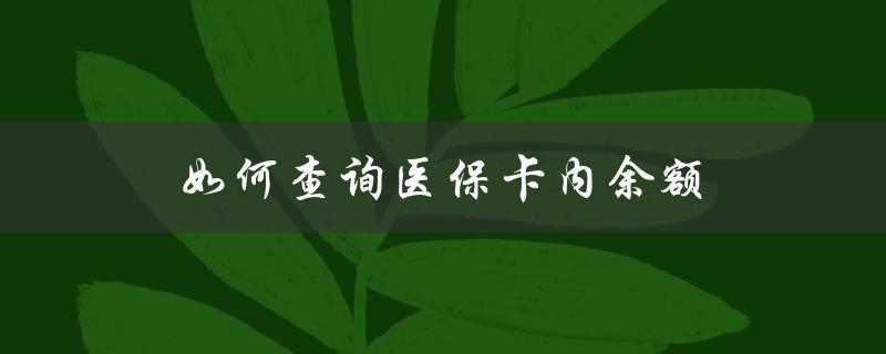 如何查询医保卡内余额