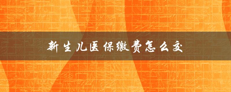 新生儿医保缴费怎么交