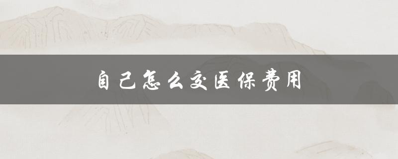 自己怎么交医保费用