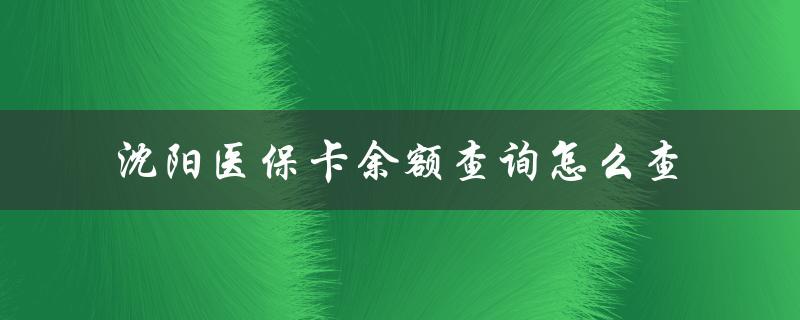 沈阳医保卡余额查询怎么查